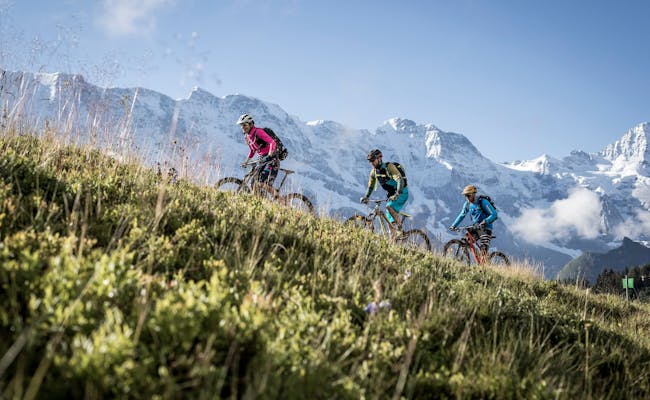 Bike Trail (photo : Jungfrau Region Tourismus)