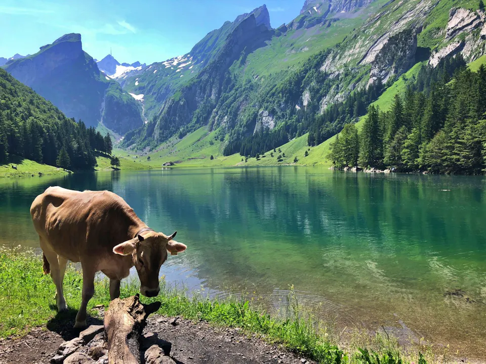 Seealpsee