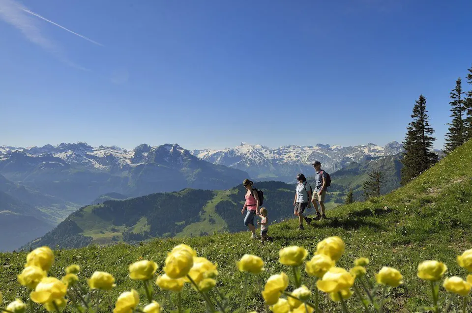 Stanserhorn Wandern