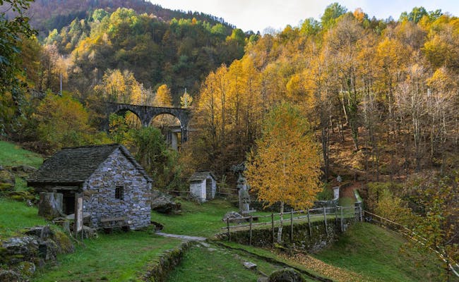 Valle Vigezzo: paisaje otoñal con casas de piedra históricas y una variedad de hojas coloridas.