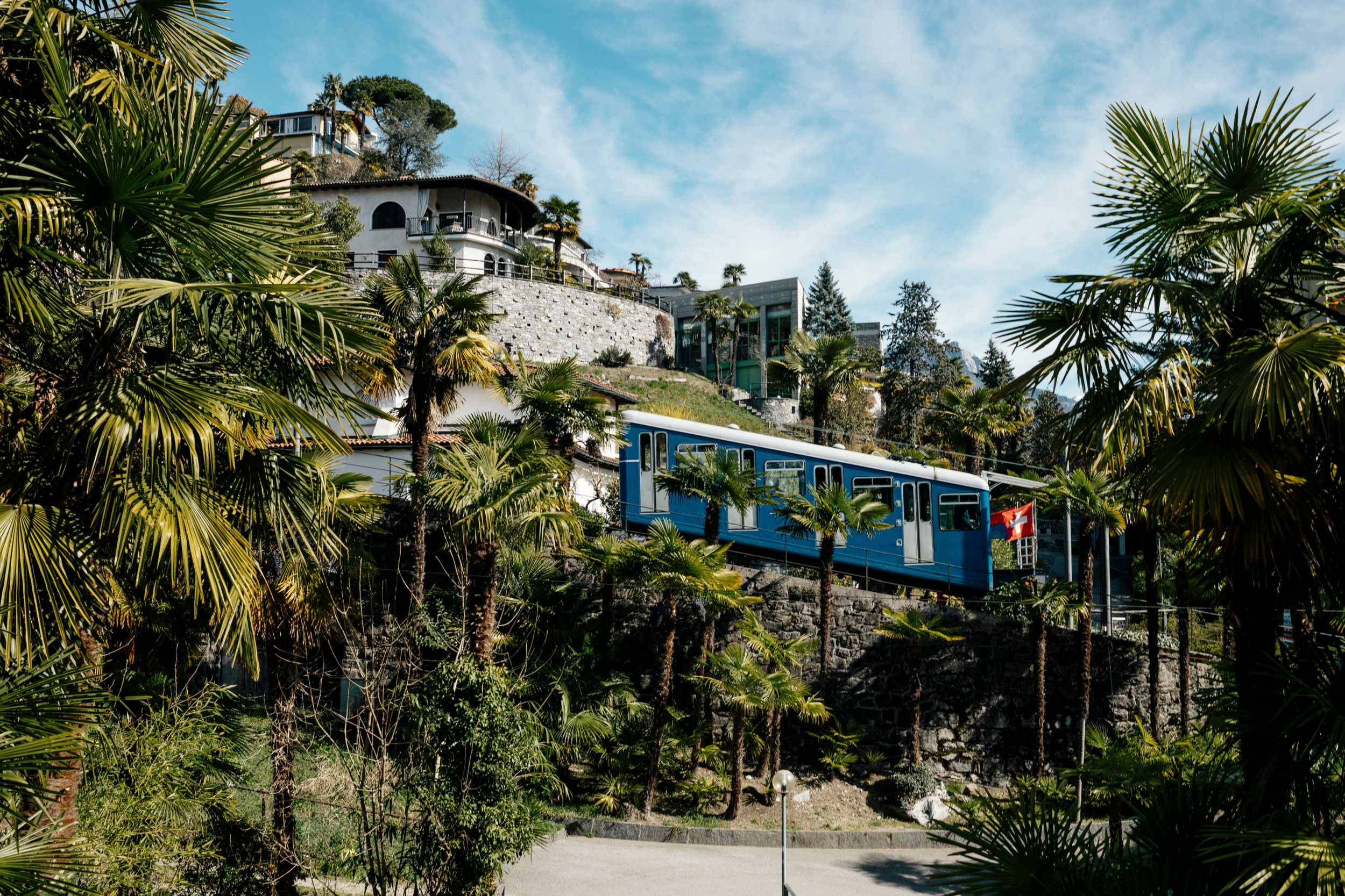Locarno : Voyage en train à travers un paysage tropical verdoyant avec des palmiers en Suisse