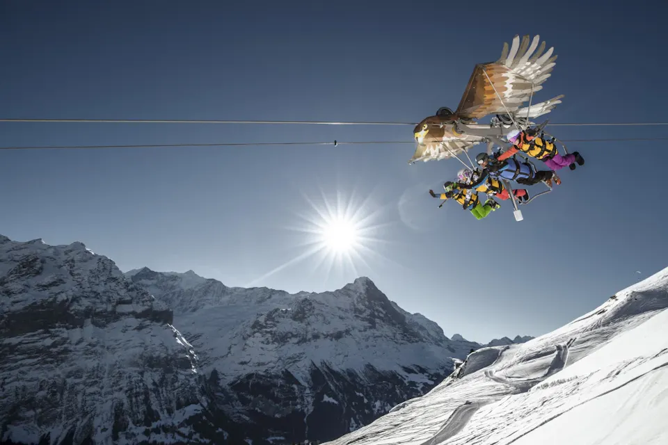 Grindelwald First Glider