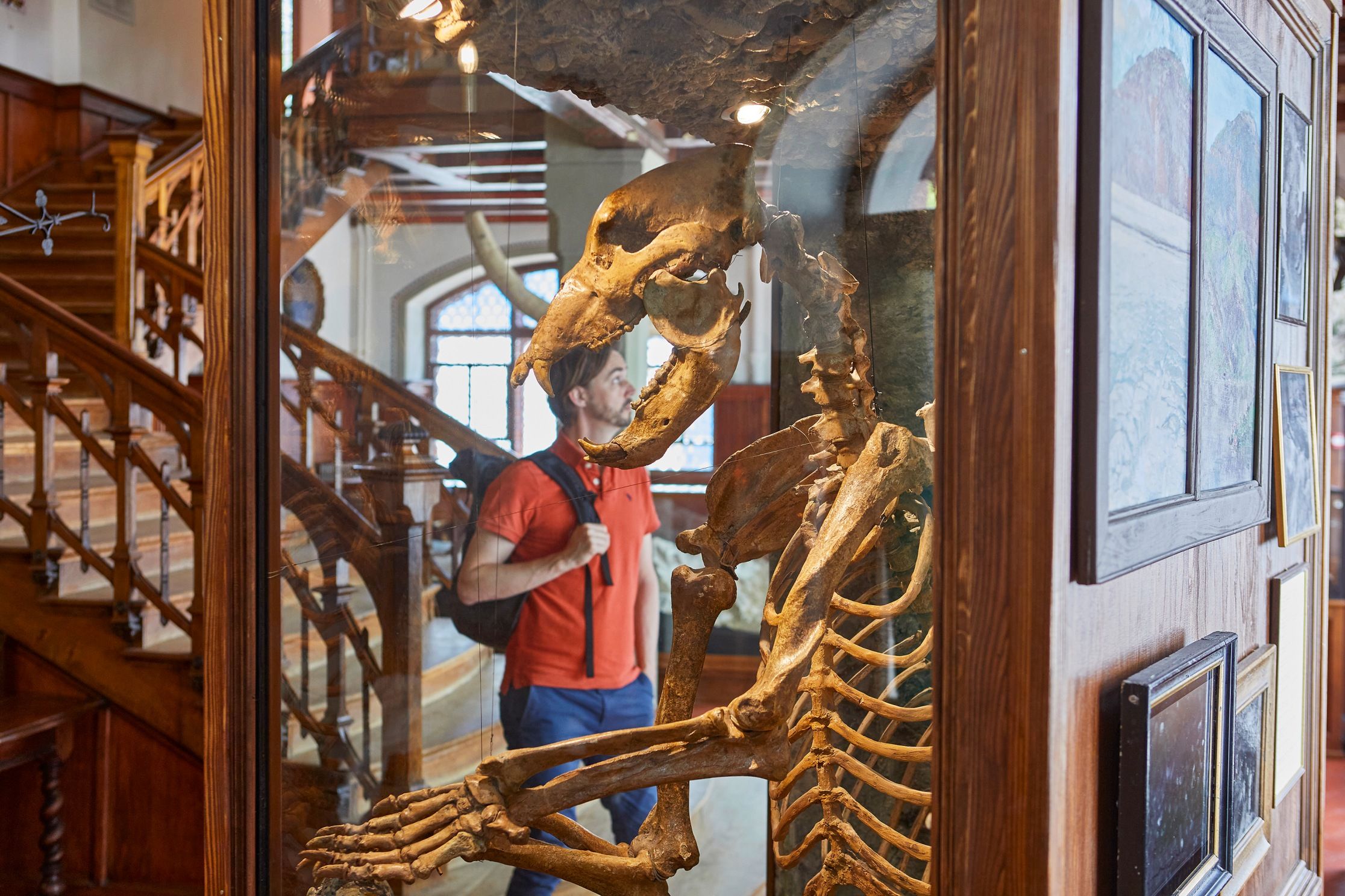 Museum Hulebjorne: imponerende skelet af Hulebjornen i Gletscherskoven i Luzern, perfekt for naturinteresserede.