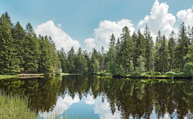 Parco naturale Doubs See con riflessi degli alberi nell'acqua