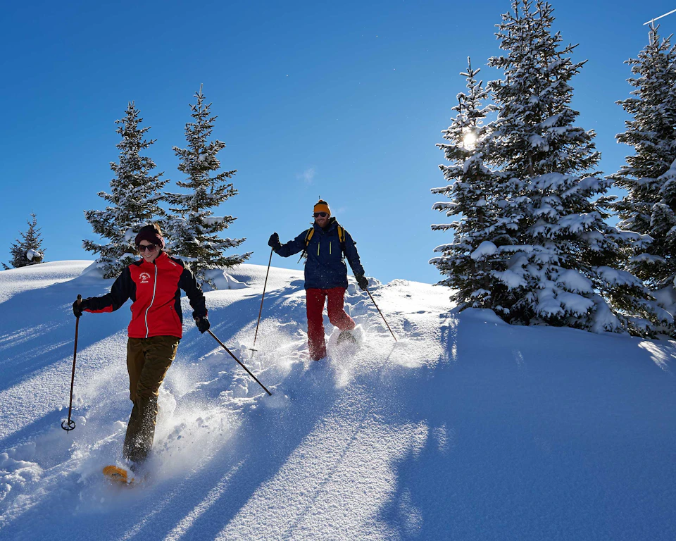Schneeschuhwandern Schweiz Arosa