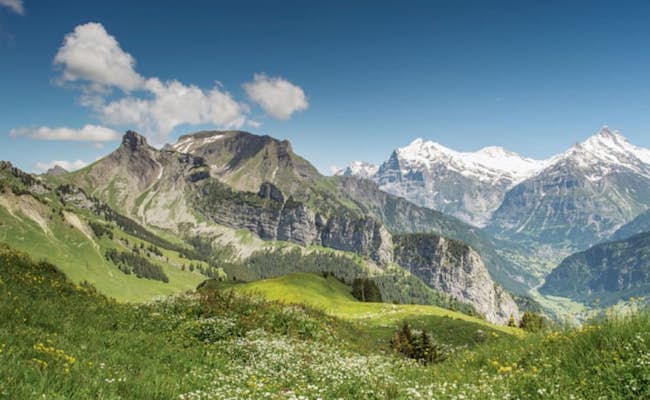 Panorama (photo. Chemins de fer de la Jungfrau)