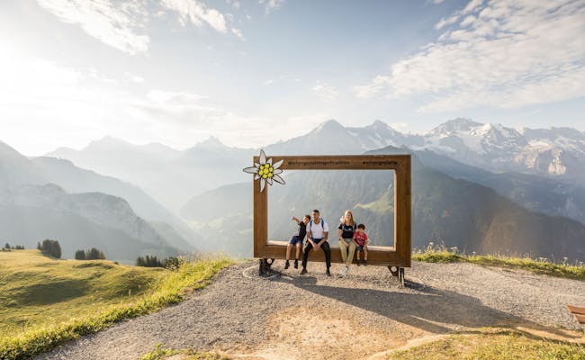 Schynige Platte: Disfruta de una vista hermosa de las montañas con tu familia en verano.