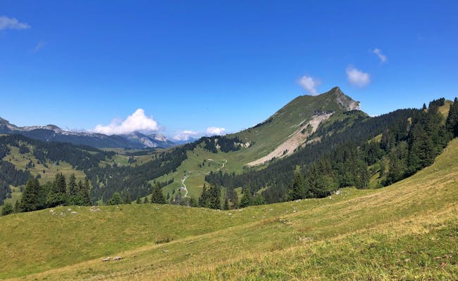 Senderismo Augstmatthorn: Experimenta el impresionante paisaje montañoso y la naturaleza en verano.