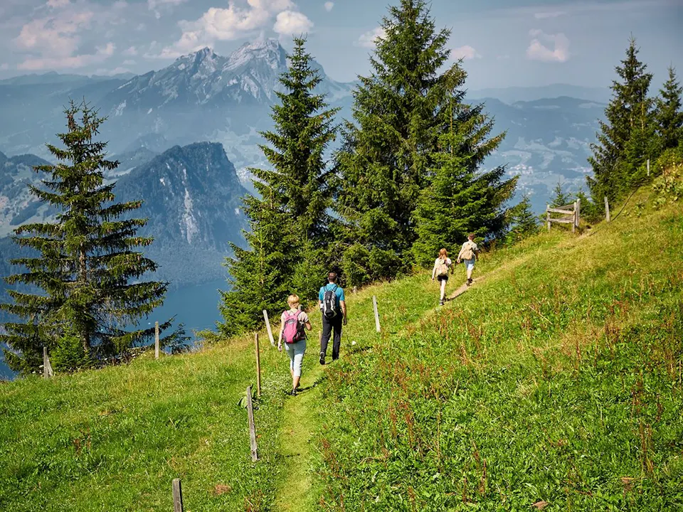 Rigi Wandern