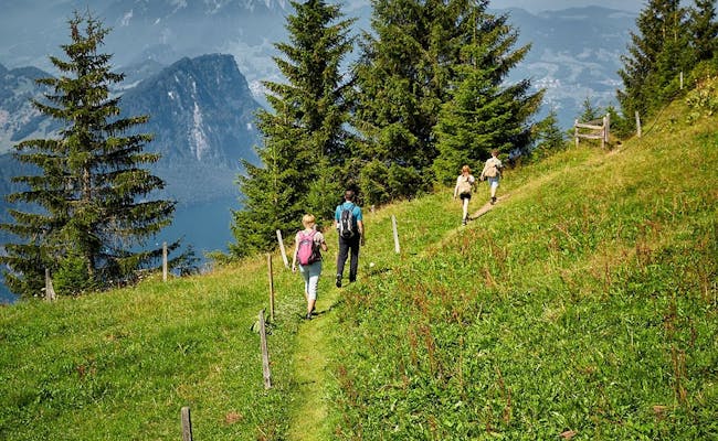Wandern auf der Rigi (Foto: Luzern Tourismus)