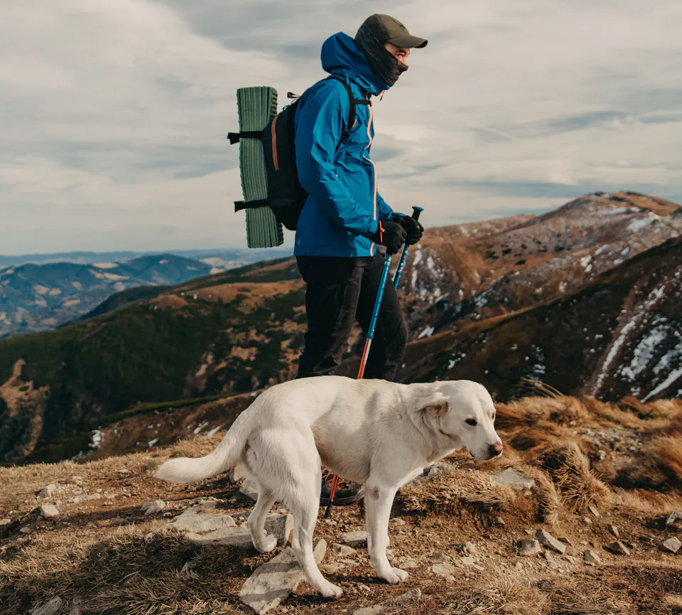 Hund Wandern