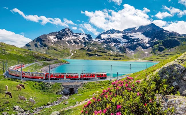Voyage en Suisse avec un train panoramique (photo : Swiss Travel System)