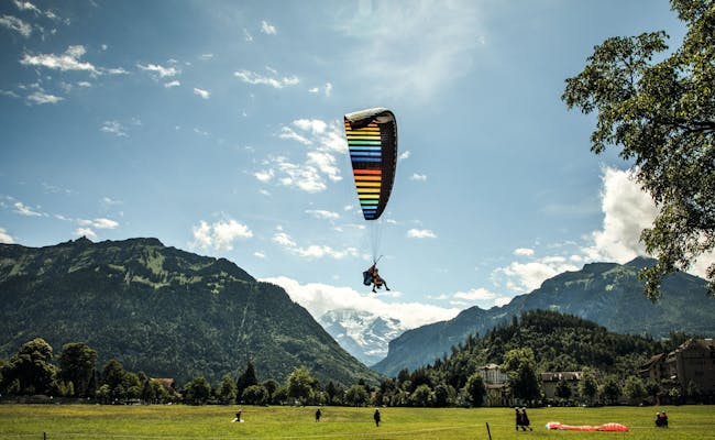 Paraglider landing meadow near Interlaken (Photo: Switzerland Tourism)
