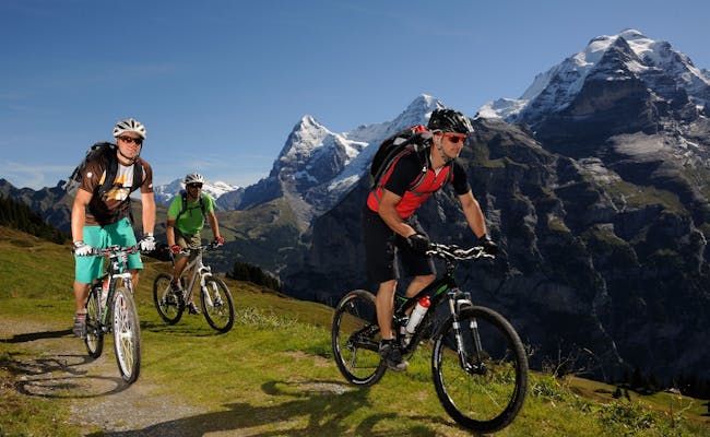 Découvre les montagnes en VTT (photo : Stefan Hunziker Suisse Tourisme)
