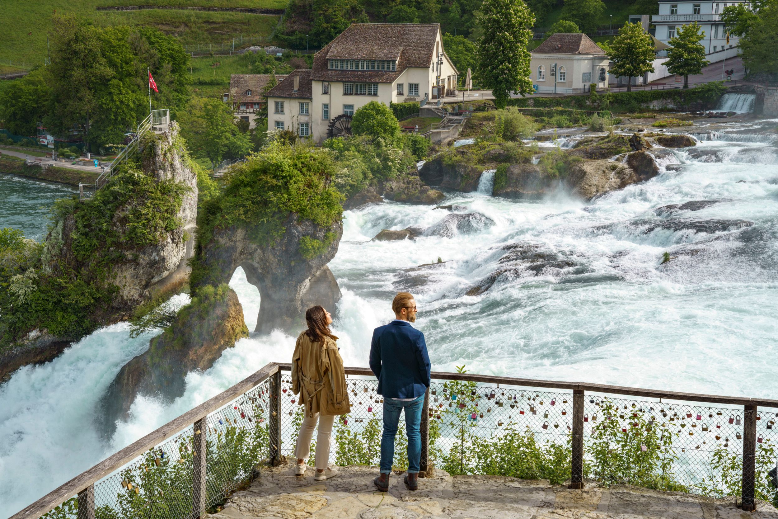 Rheinfall: vista mozzafiato sulla cascata e sulla natura circostante in Svizzera.