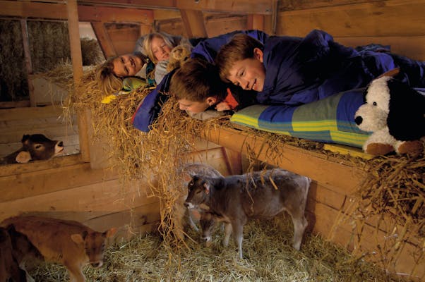Schlafen im Stroh (Fotos: Schweiz Tourismus Robert Boesch)
