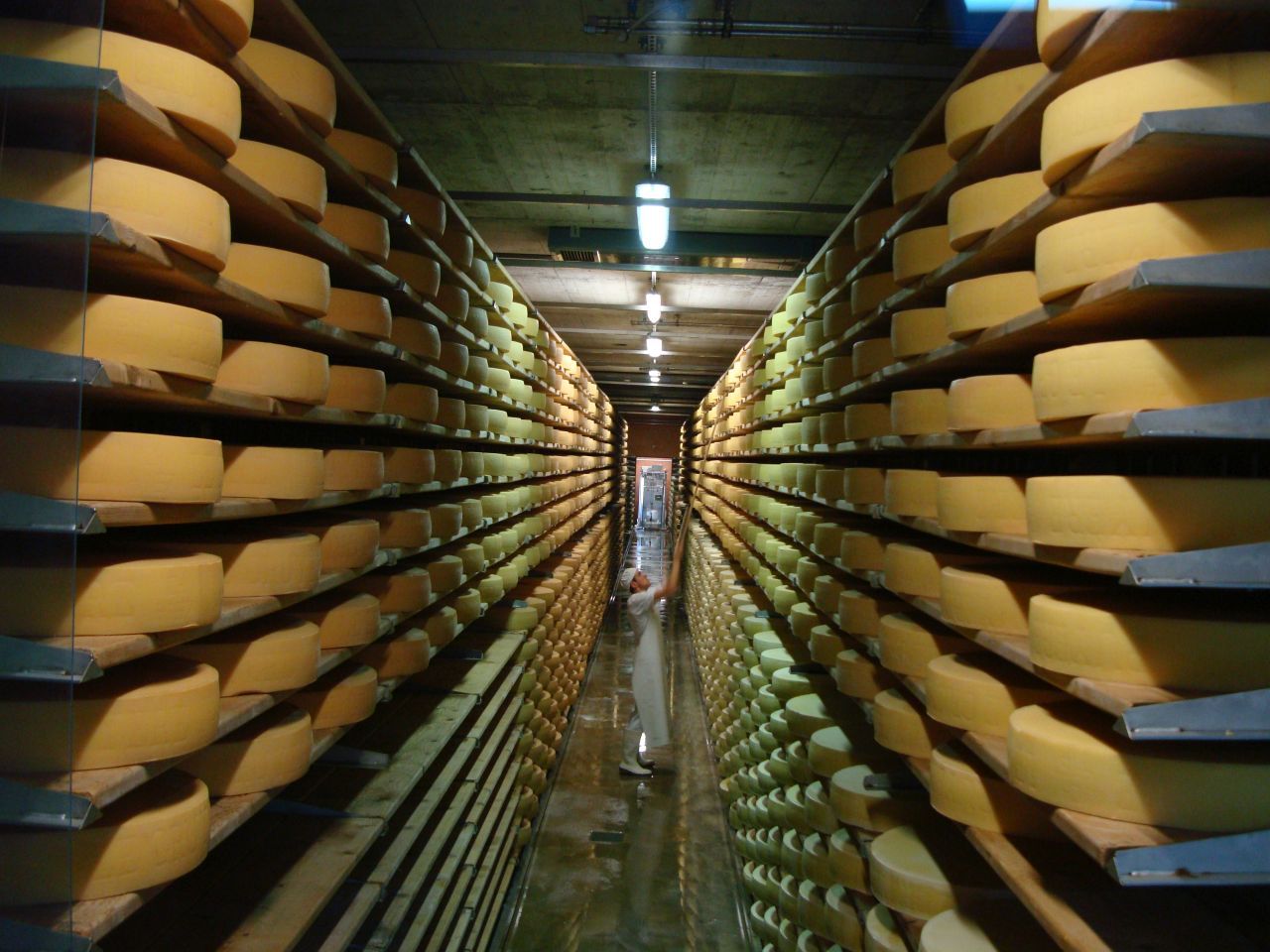 Shtëpia e açkës Gruyères me djathë të pjekur dhe rafta.