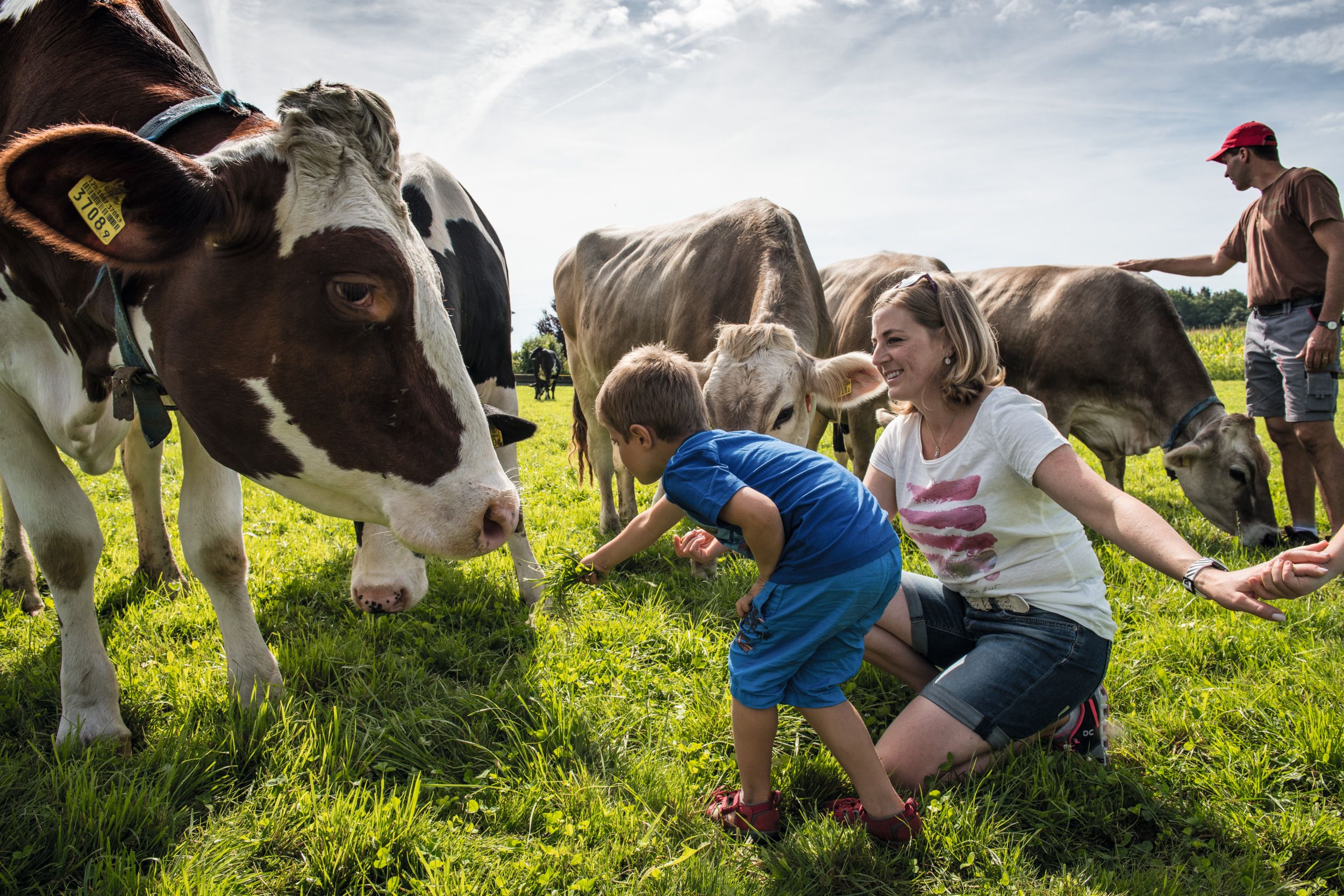 Vacanze in fattoria: famiglia vive animali su verdi prati in Svizzera.