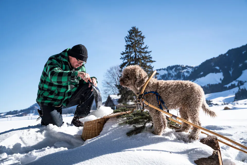 Hund Escholzmatt Wiesners Waldkueche 
