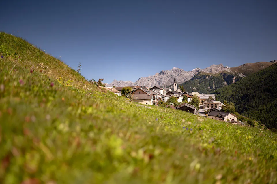 Guarda