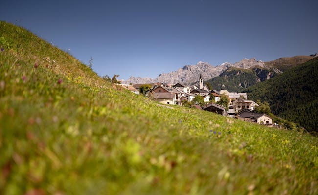 Wiese bei Guarda (Foto: Graubünden Ferien Marco Badrutt)