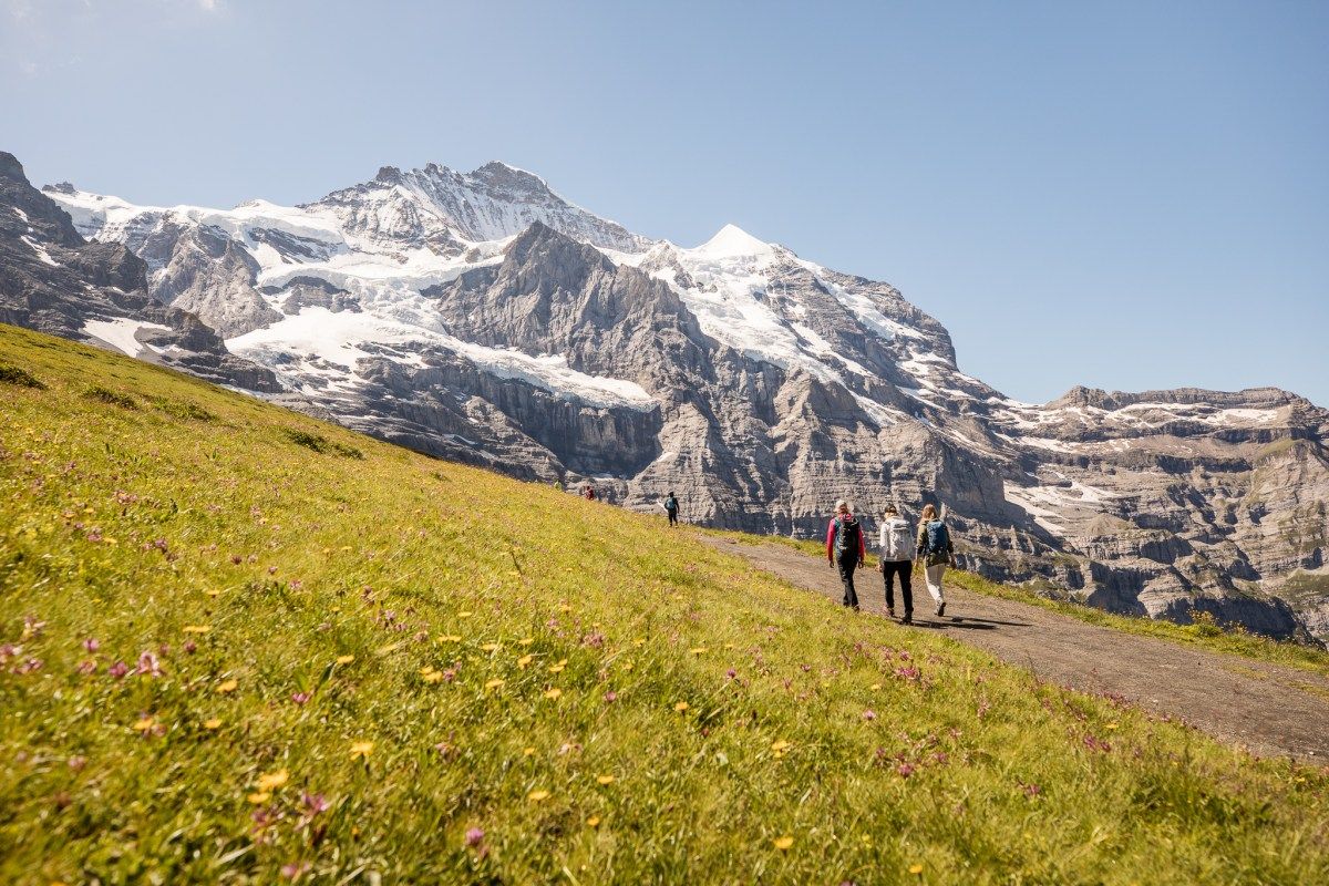 Jungfrau Travel Pass Is It Worth Buying Swiss Activities   14 Jungfrau Travel Pass Kleine Scheidegg Wandern Eiger Walk Jungfraubahnen E9429f4cc0 