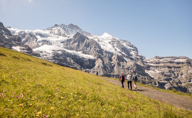 Kleine Scheidegg Hiking (Photo: © Jungfrau Railways)