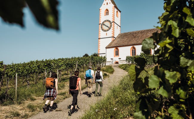 Iglesia en Hallau, excursionista en el camino, viñedo circundante, cielo azul