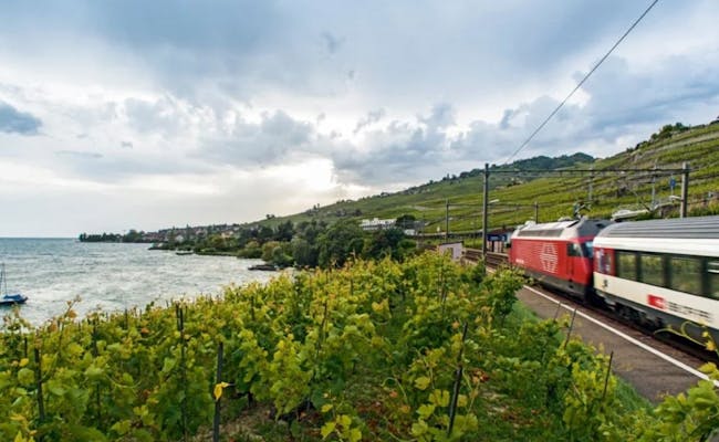 Railaway Ticket Suisse, trajet en train au bord du lac Léman, vignes, paysage