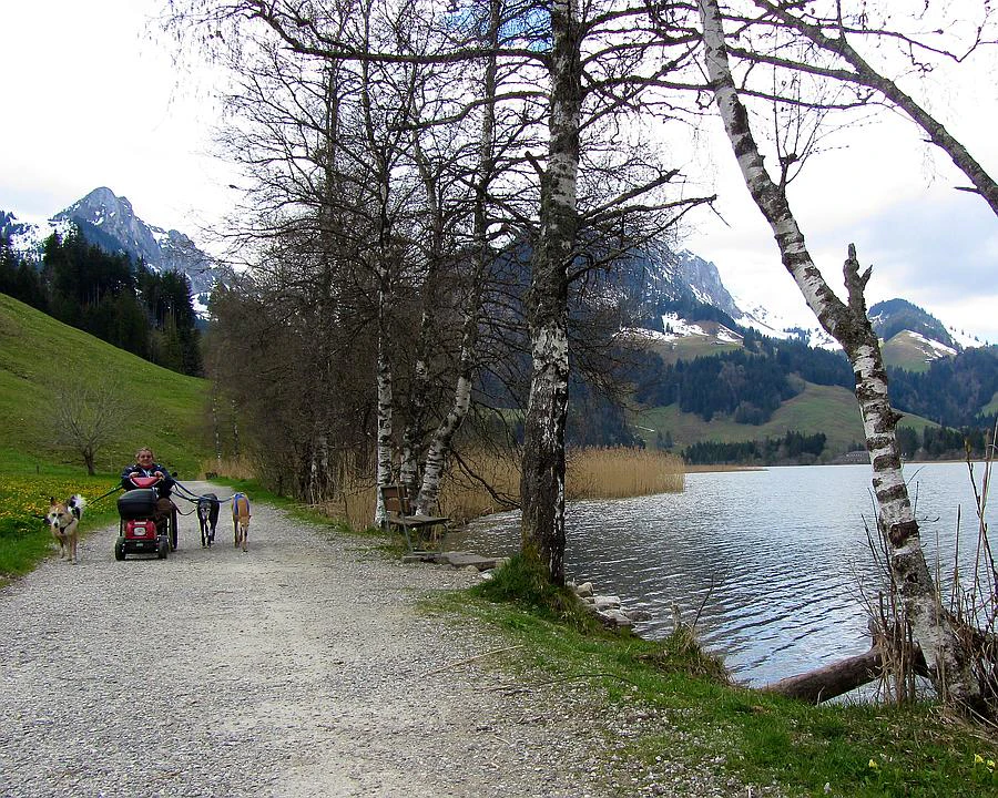 Tagesausflug Mit Rollstuhl In Der Nähe www.swissactivities.com