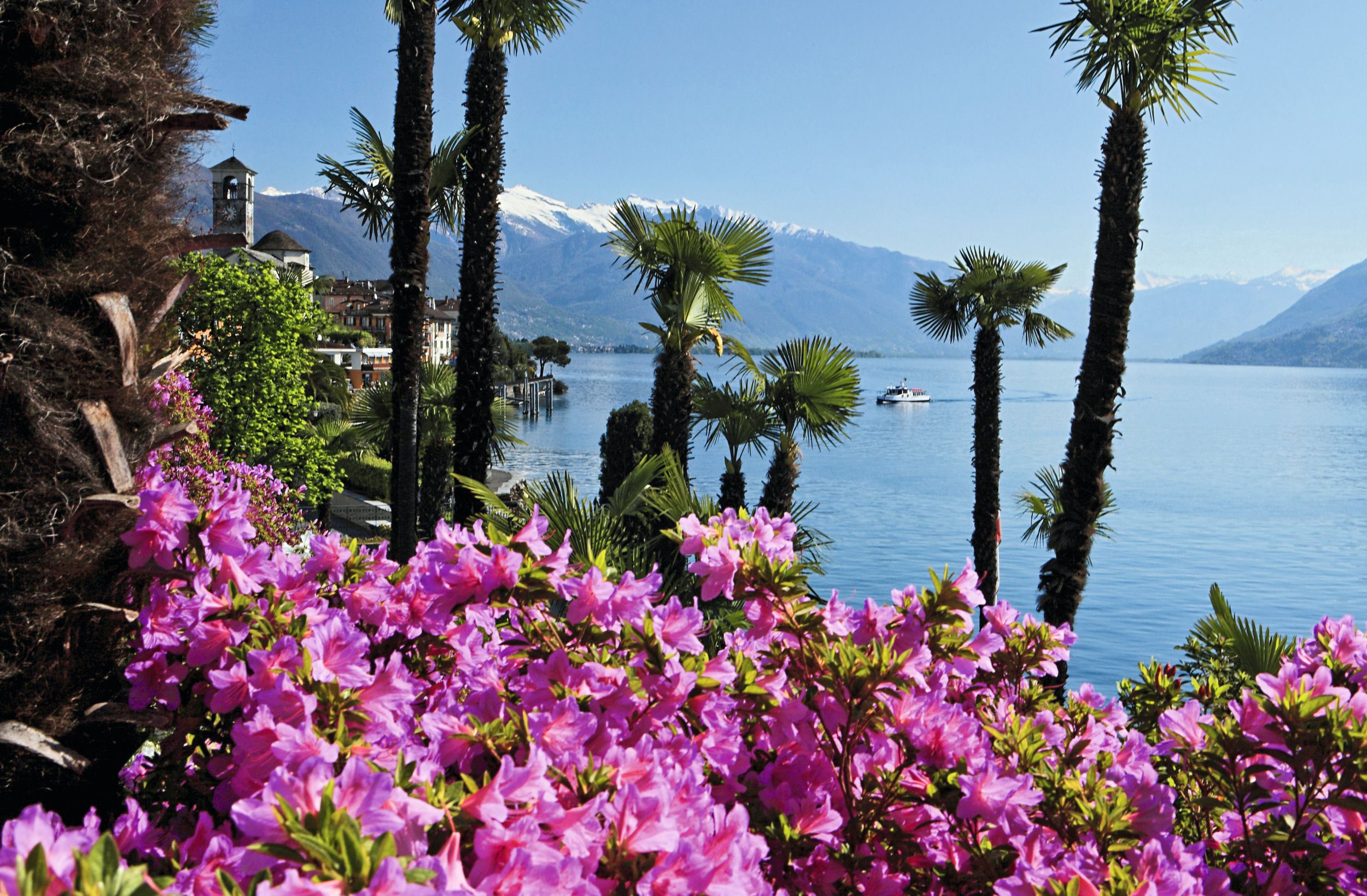 Lago Maggiore con fiori colorati, palme e vista sulle montagne.