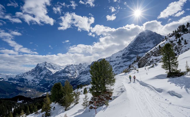  Winter (Foto: Jungfrau Region Tourismus)