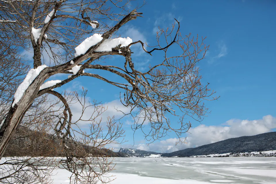 Naturpark Jura Vaudois Winter