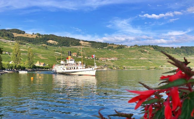 Bateau à vapeur sur le lac de Genève devant des plantes en fleurs et des collines douces.