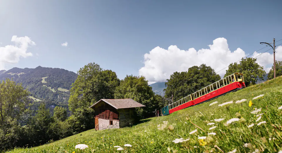 Schynige Platte Zahnradbahn