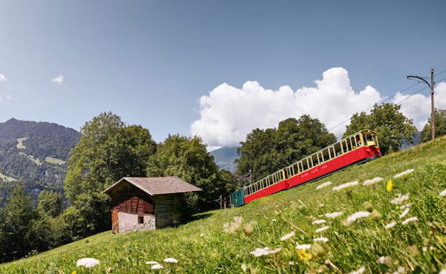 Zahnradbahn (Foto: Jungfraubahnen)