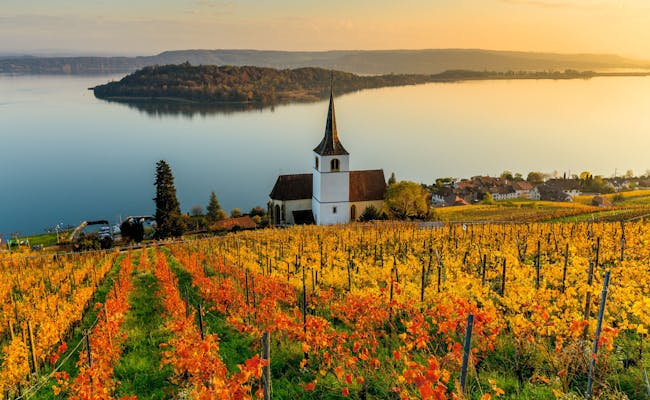 Weinberge am Bielersee im Herbst mit buntem Laub und Kirche im Hintergrund.