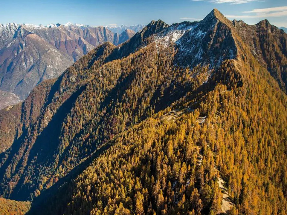 Tessin Buchen im Valle di Lodano