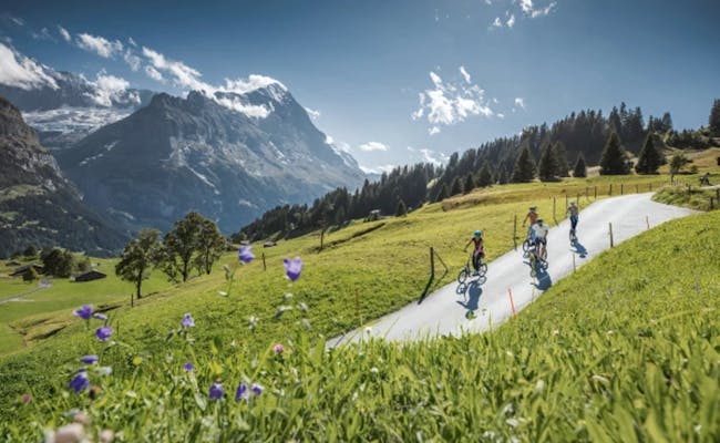 Primeiro Trotti Bike: Vive a condução em Grindelwald, rodeado por montanhas pitorescas e prados verdes.