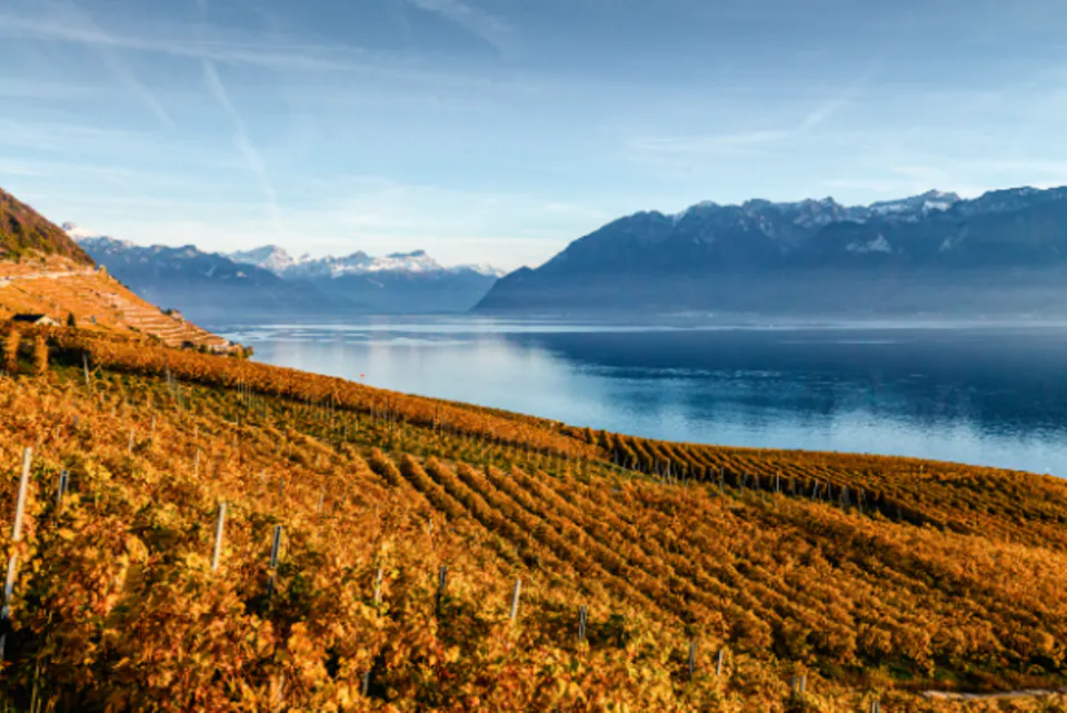Montreux Lavaux