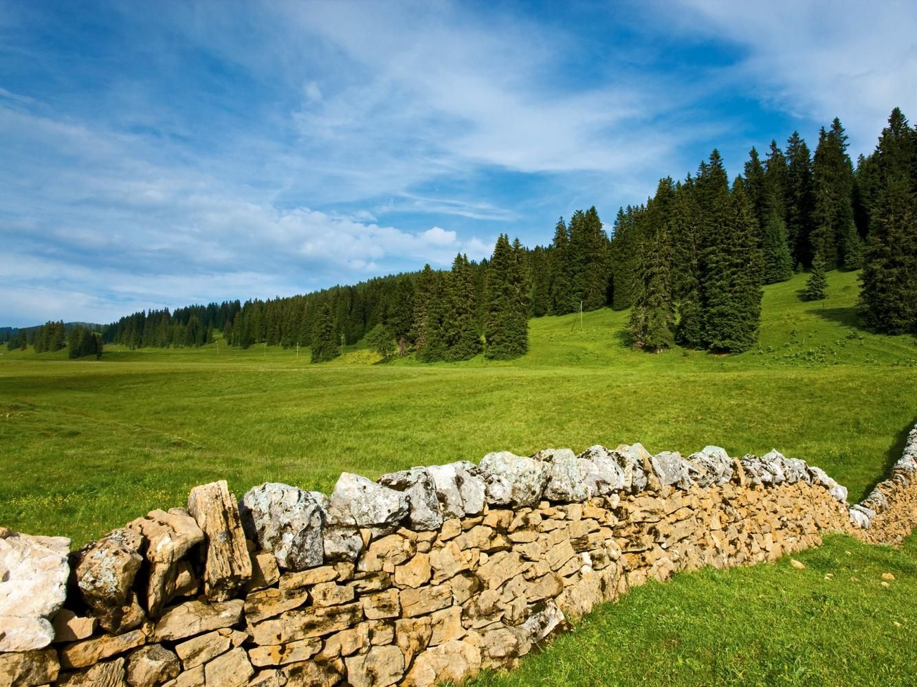 नेचर पार्क चास्सेरल हरे मैदान, चट्टानें और जंगल के साथ