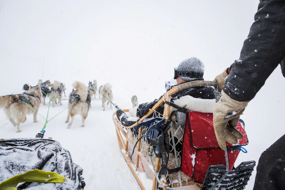 Verbier Hundeschlitten