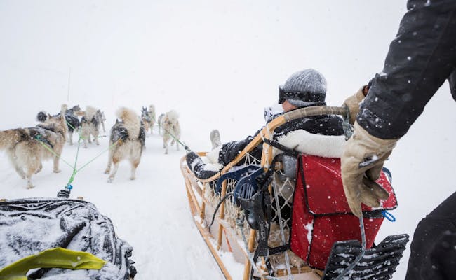 Hundeschlittenfahrt in Verbier bei Schneefall, Hunde ziehen Schlitten durch die Winterlandschaft.