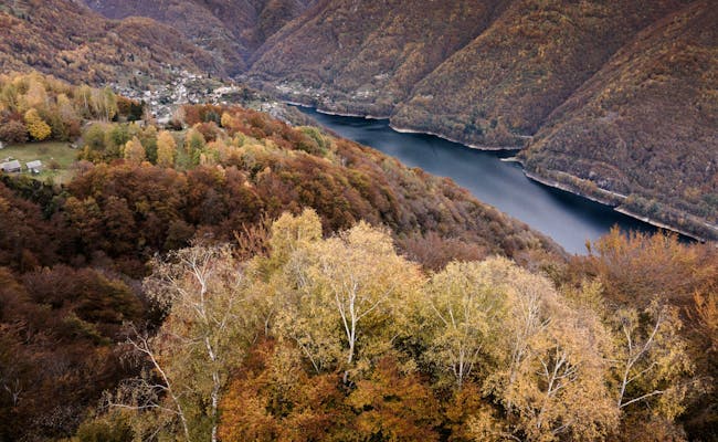 Verzascatal in autumn: Beautiful valley with colorful deciduous trees and calm water.