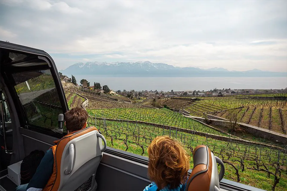 Montreux Deluxe Weintour Lavaux 