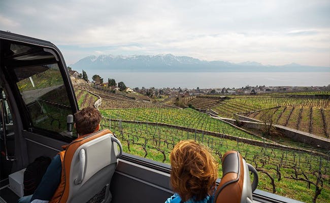Tour du vin de luxe Lavaux (photo : Swiss Panoramic Tours)