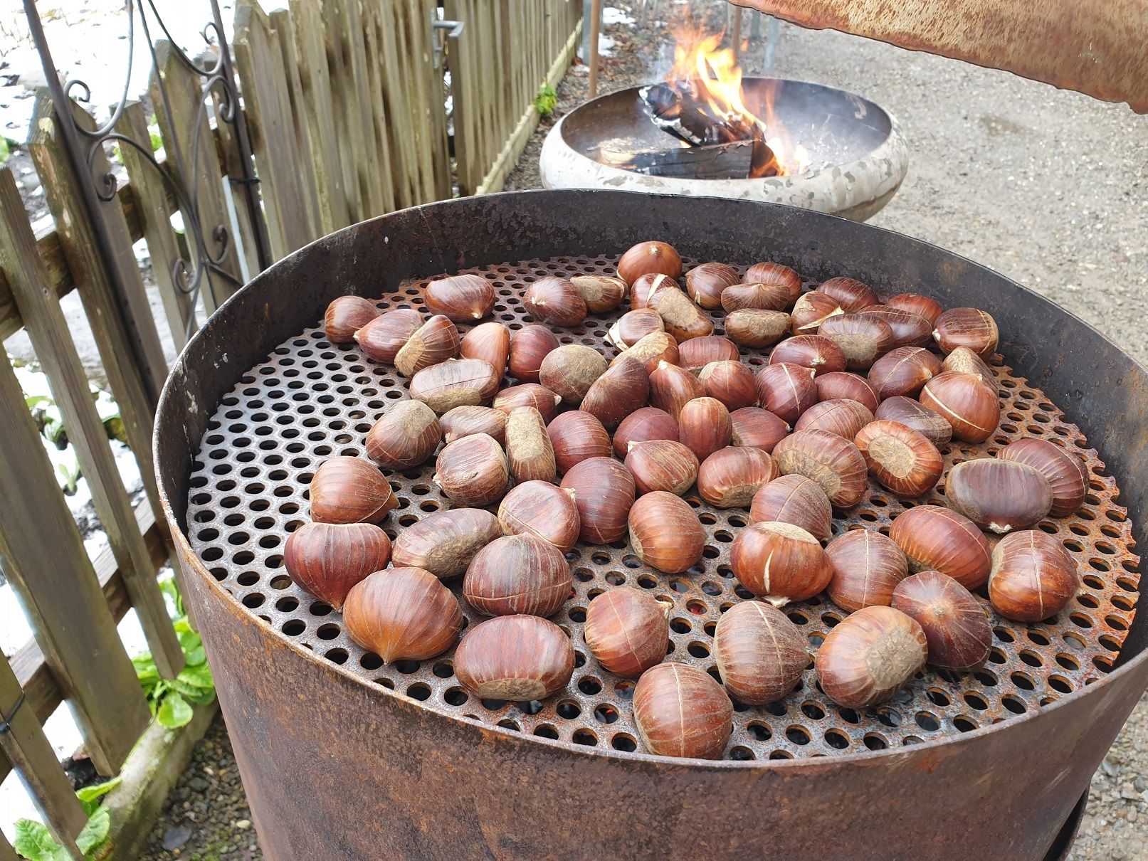 Horké kaštany: Pražení kaštanů na grilu venku.