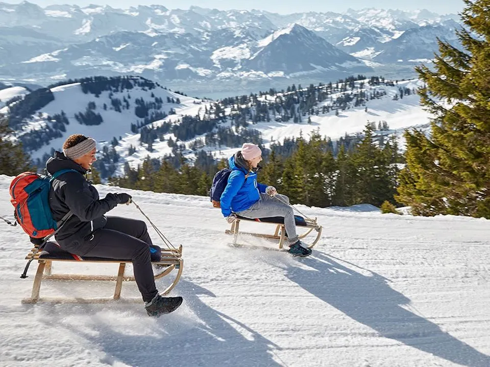 Schlitteln Rigi