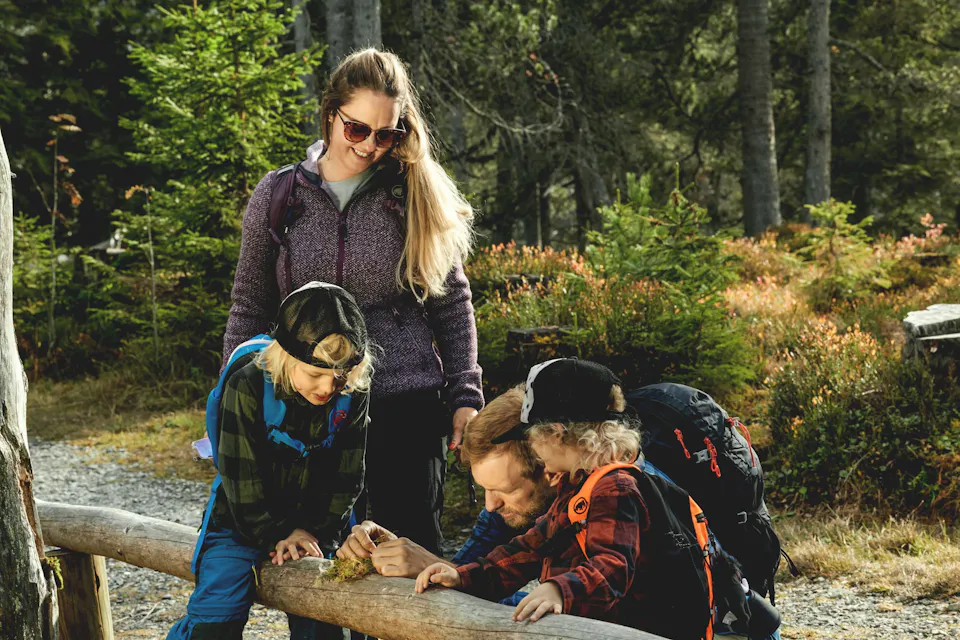 Kinderwagen Sonnentauweg Mooraculum