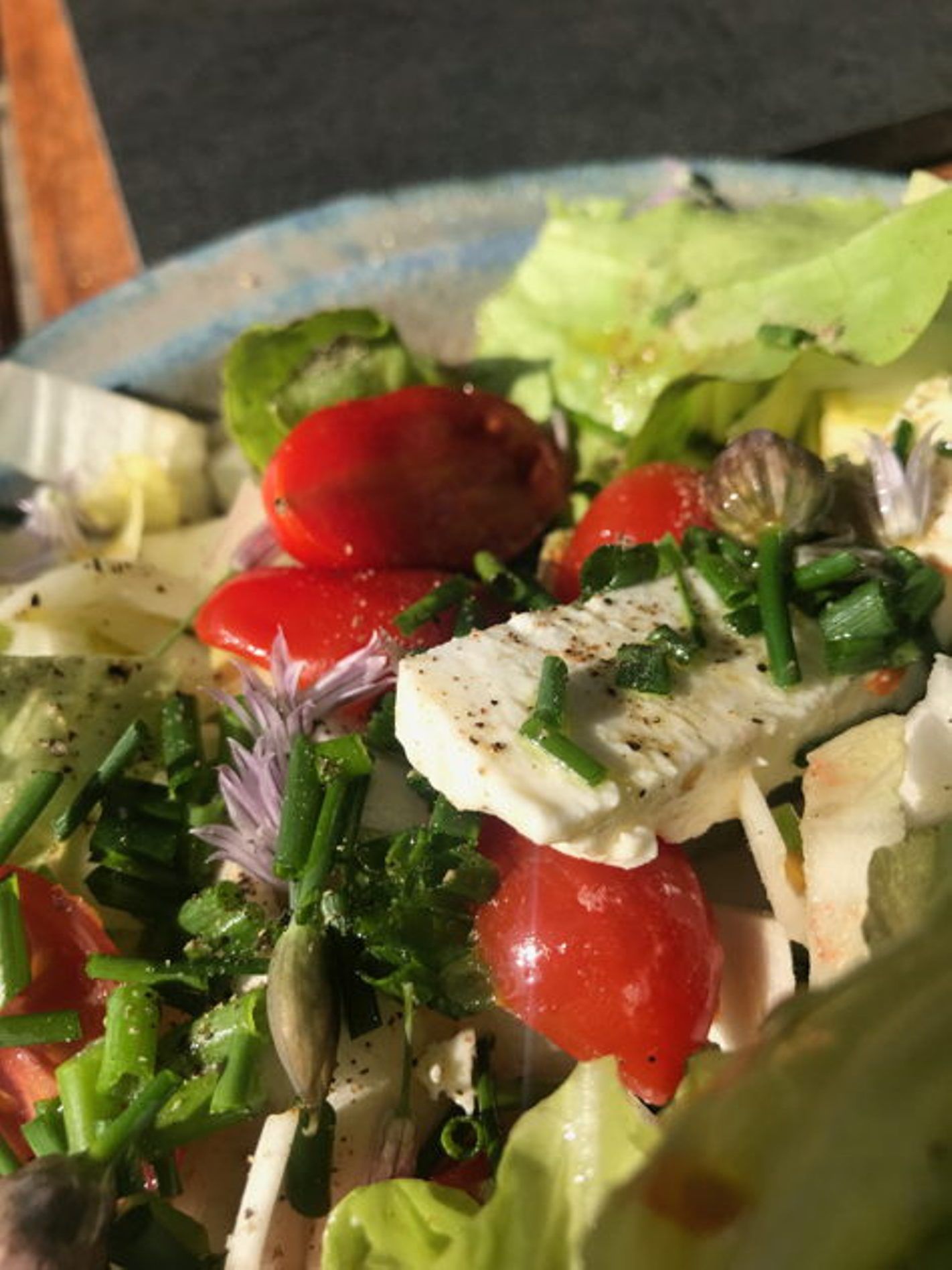 Typisk schweizerisk mad: Frisk salat med tomater, krydderurter og ost